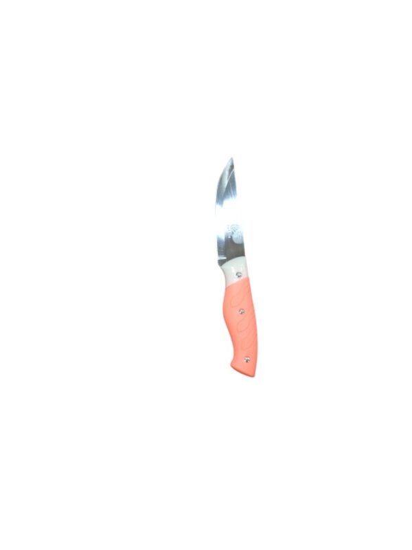 Imported Vegetable Knife - Image 2